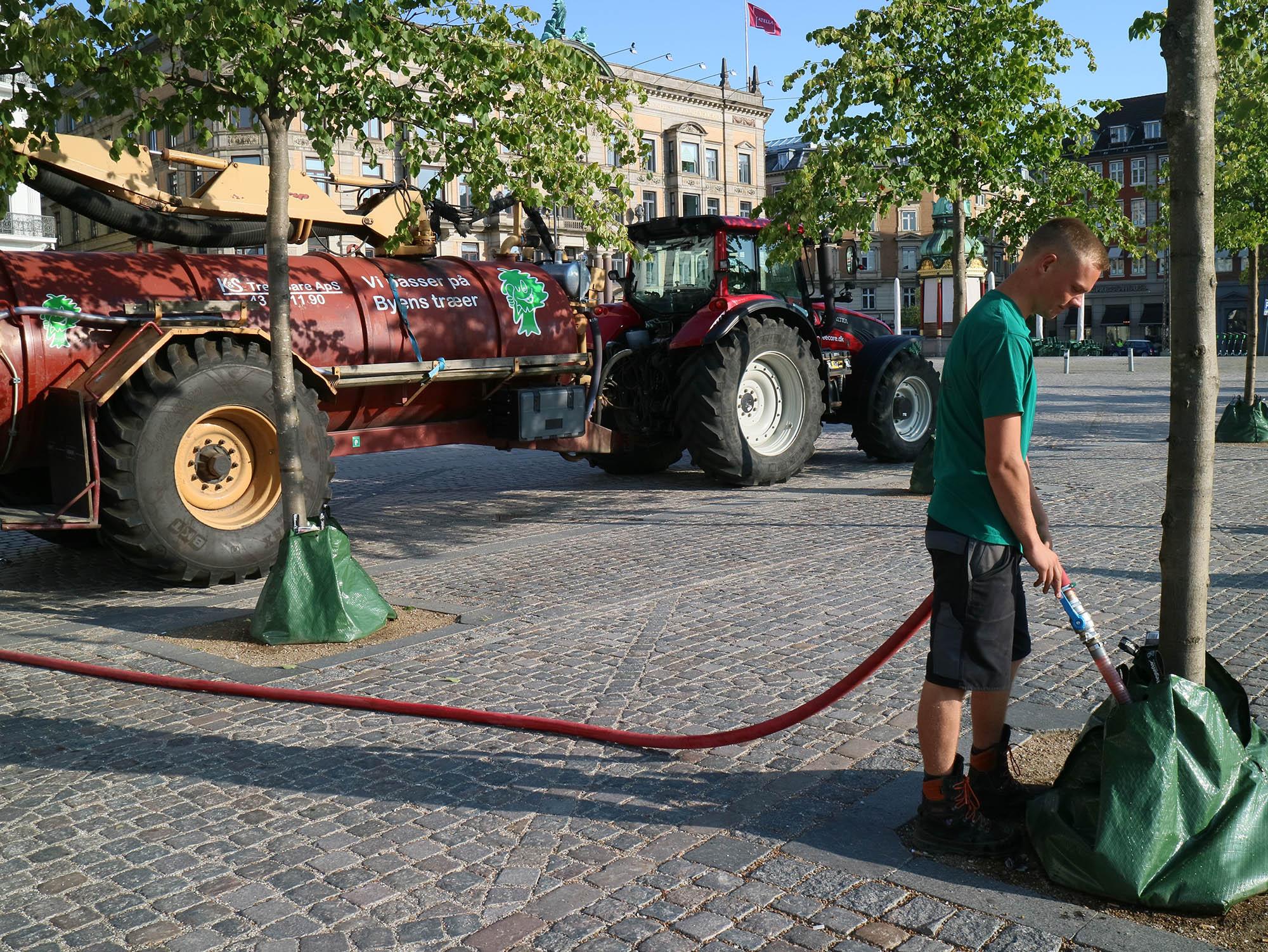 Valtra T202 traktor midt i København med vandingsvogn der vander træerne